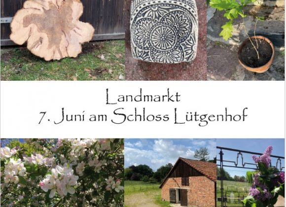 Landmarkt am Schloss Lütgenhof