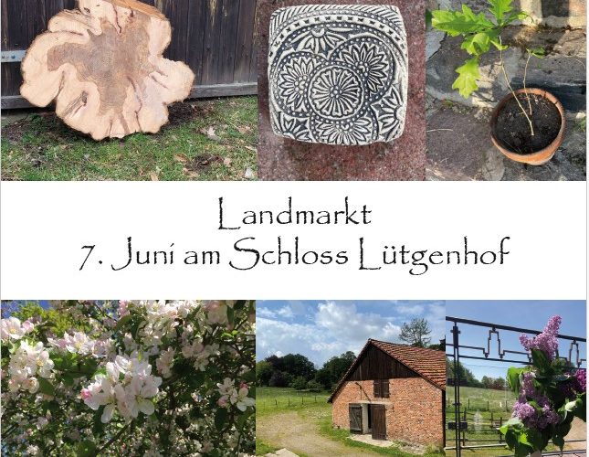 Landmarkt am Schloss Lütgenhof